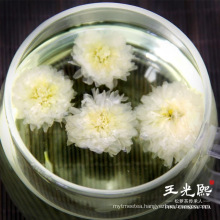 natural chrysanthemum tea is rich in aroma and refreshing